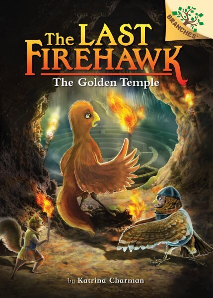 Secret Maze: A Branches Book (the Last Firehawk #10): Volume 10 цена и информация | Noortekirjandus | kaup24.ee