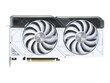 Asus Dual GeForce RTX 4070 White Edition (DUAL-RTX4070-12G-WHITE) hind ja info | Videokaardid (GPU) | kaup24.ee