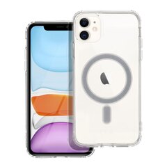 OEM Iphone 11 цена и информация | Чехлы для телефонов | kaup24.ee