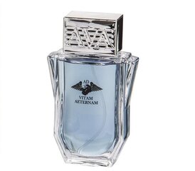 Tualettvett Real Time Ad Vitam Aeternam EDT meestele 100 ml цена и информация | Мужские духи | kaup24.ee