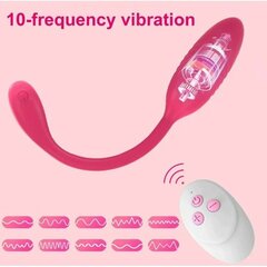 Vibraator - puldiga masseerija Dark Red Brand hind ja info | Vibraatorid | kaup24.ee