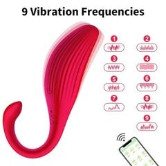 Vibraator, kaugjuhtimisega Dark Red Brand hind ja info | Vibraatorid | kaup24.ee