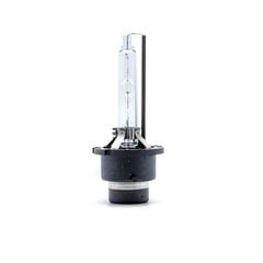 EinParts Ксеноновые лампы D2S Xenon 35W 4800K 85V LongLife, 1 шт. цена и информация | Автомобильные лампочки | kaup24.ee
