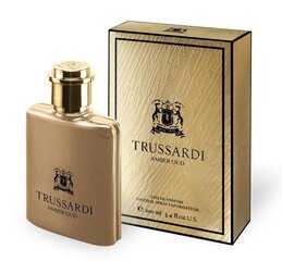 Парфюмерная вода для мужчин Trussardi Amber Oud EDP 100 мл цена и информация | Мужские духи | kaup24.ee