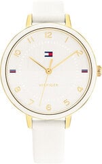 Tommy Hilfiger Флоренция 1782582 цена и информация | Женские часы | kaup24.ee