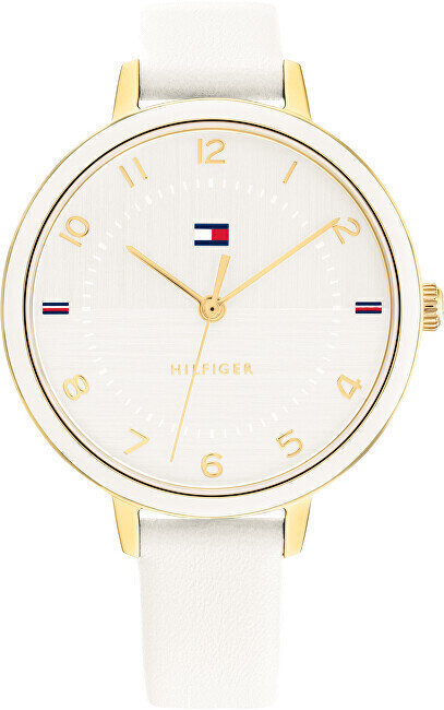 Naiste käekell Tommy Hilfiger 1782582 цена и информация | Naiste käekellad | kaup24.ee