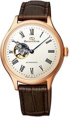 Kell meestele Orient Star RE-ND0003S00B цена и информация | Мужские часы | kaup24.ee