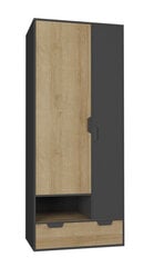 Шкаф Nano 02, серый/цвета дуба цена и информация | Шкафы | kaup24.ee