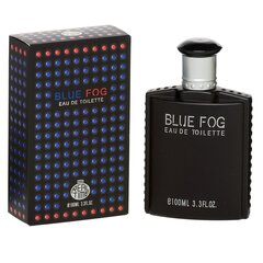 Туалетная вода Real Time Blue Fog EDT для мужчин 100 мл цена и информация | Мужские духи | kaup24.ee