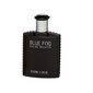 Tualettvesi Real Time Blue Fog EDT meestele 100 ml hind ja info | Meeste parfüümid | kaup24.ee