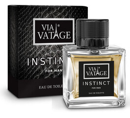 Lõhnavesi meestele VIA VATAGE Instinct 100 ml hind ja info | Meeste parfüümid | kaup24.ee