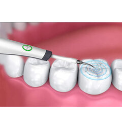 Elektriline ultraheli hambapuhasti hind ja info | Elektrilised hambaharjad | kaup24.ee