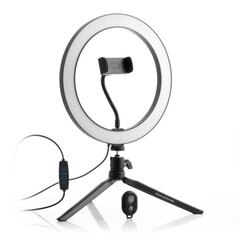 LED-rõngaslamp 26 cm hind ja info | Fotovalgustuse seadmed | kaup24.ee