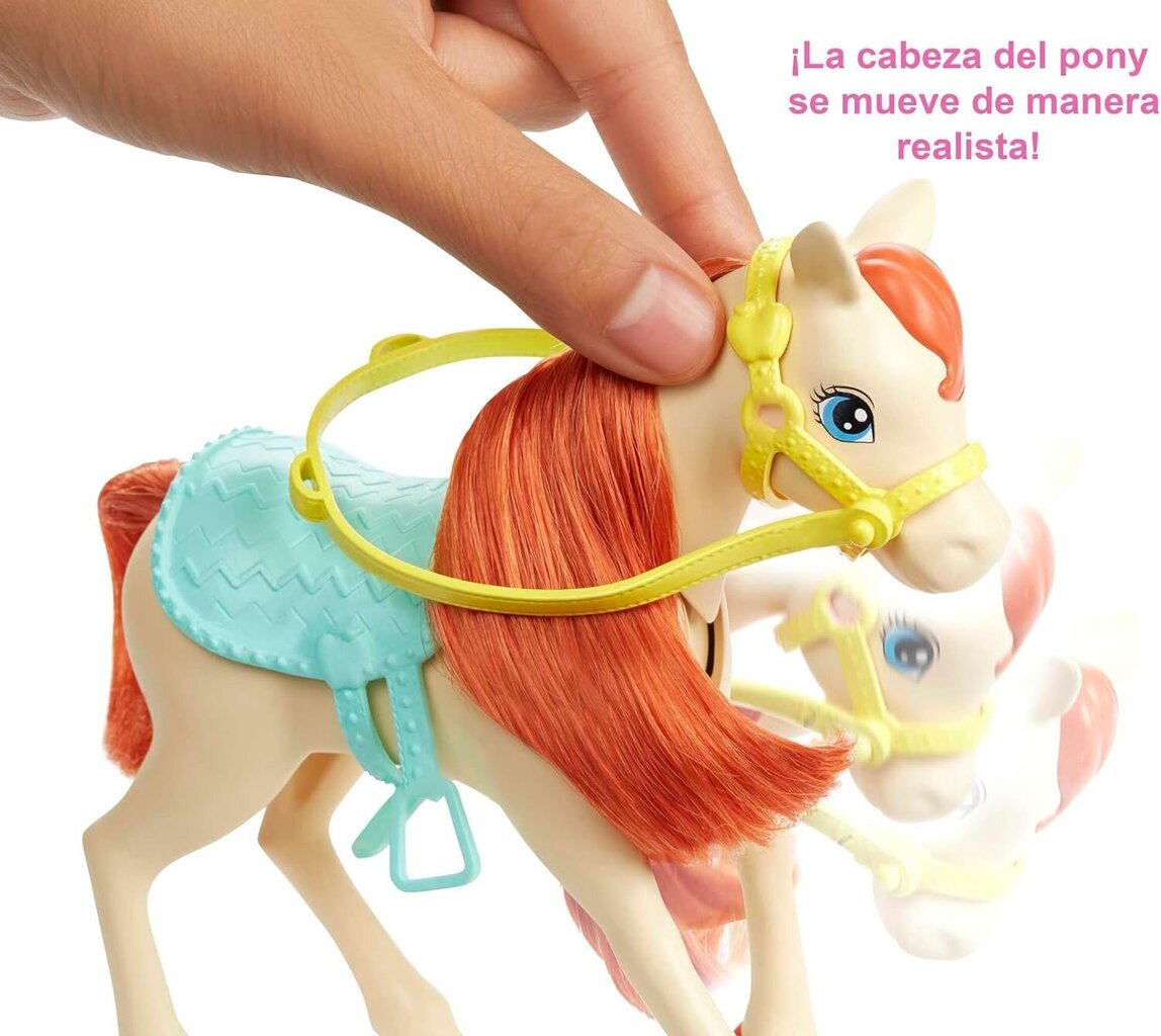 Barbie Hugs N Horses GLL70 hind ja info | Tüdrukute mänguasjad | kaup24.ee