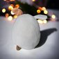 HappyJoe Squishmallows pluusi mänguasi, valge buldog, 20cm цена и информация | Pehmed mänguasjad | kaup24.ee