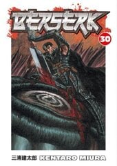 Berserk Volume 30, v. 30 цена и информация | Фантастика, фэнтези | kaup24.ee