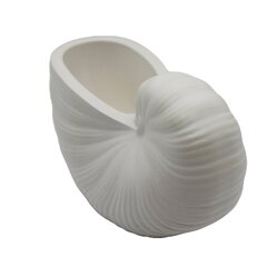 Dekoratiivne vaas "Shell", 13x8 cm hind ja info | Sisustuselemendid | kaup24.ee
