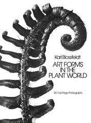 Art Forms in the Plant World цена и информация | Книги об искусстве | kaup24.ee