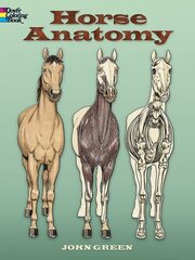 Horse Anatomy Coloring Book hind ja info | Väikelaste raamatud | kaup24.ee