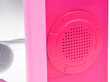 Mikrofoniga muusikakõlar lastele, roosa цена и информация | Arendavad mänguasjad | kaup24.ee