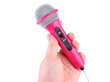 Mikrofoniga muusikakõlar lastele, roosa цена и информация | Arendavad mänguasjad | kaup24.ee
