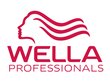 Tugevalt fikseeriv juukselakk Wella Professionals SP Perfect Hold 50 ml hind ja info | Viimistlusvahendid juustele | kaup24.ee
