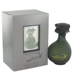 Tualettvesi Salvador Dali Pour Homme EDT meestele 100 ml hind ja info | Meeste parfüümid | kaup24.ee