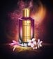 Parfüümvesi Mancera Roses Greedy EDP naistele/meestele 120 ml hind ja info | Naiste parfüümid | kaup24.ee