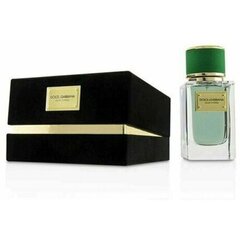 Parfüümvesi Dolce & Gabbana Velvet Cypress EDP unisex, 50 ml цена и информация | Женские духи | kaup24.ee