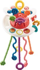 Красочные Сенсорный осьминог Tuli Fun Octopus цена и информация | Игрушки для малышей | kaup24.ee
