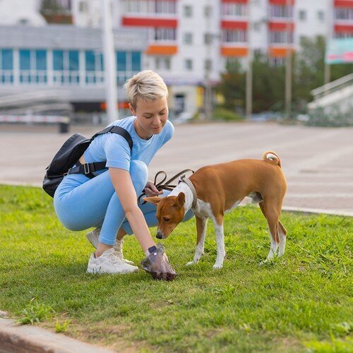 Väljaheitekotid ümbrisega lemmikloomadele Purlov цена и информация | Hooldusvahendid loomadele | kaup24.ee