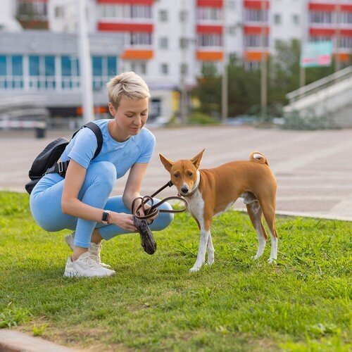 Väljaheitekotid ümbrisega lemmikloomadele Purlov цена и информация | Hooldusvahendid loomadele | kaup24.ee