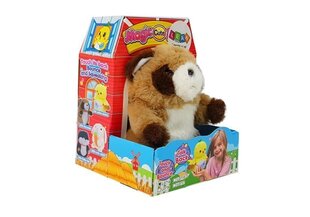 Interaktiivne pesukaru, pruun hind ja info | Poiste mänguasjad | kaup24.ee