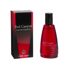 Tualettvesi Real Time Red Canyon EDT meestele 100 ml hind ja info | Meeste parfüümid | kaup24.ee