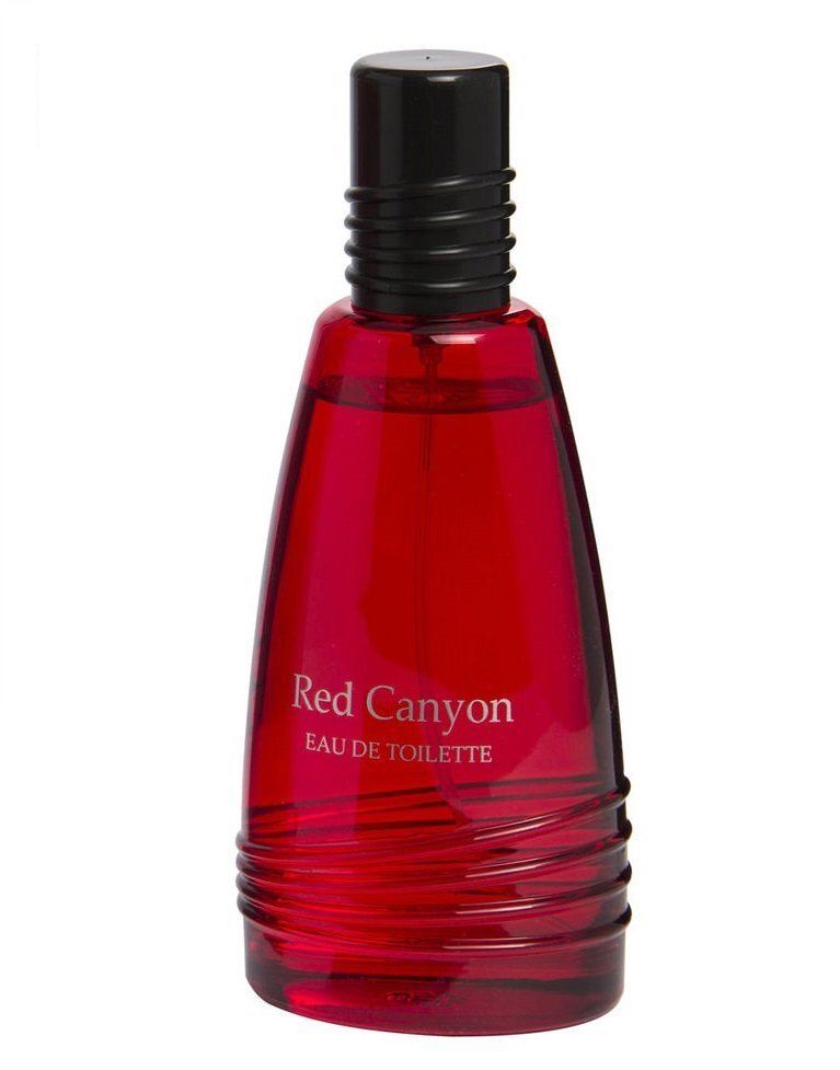 Tualettvesi Real Time Red Canyon EDT meestele 100 ml цена и информация | Meeste parfüümid | kaup24.ee