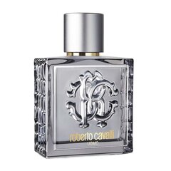 Tualettvesi Roberto Cavalli Silver Essence EDT meestele 100 ml hind ja info | Meeste parfüümid | kaup24.ee