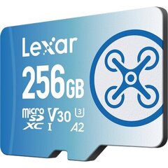 Lexar Fly LMSFLYX256G-BNNNG цена и информация | Lexar Мобильные телефоны, Фото и Видео | kaup24.ee