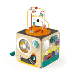 Деревянный куб сортировщик 
с эргономичной поверхностью «Multi-Activity Looping» Janod цена и информация | Игрушки для малышей | kaup24.ee