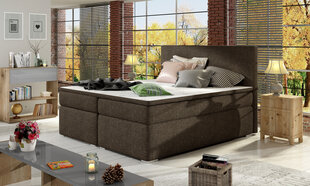 Кровать Divalo BD04, 160x200 см, коричневая цена и информация | Кровати | kaup24.ee