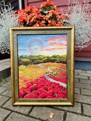 Tikkimiskomplekt 30x40 cm цена и информация | Принадлежности для вышивания | kaup24.ee