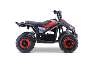 Квадроцикл 48 В Electric 1000 Вт Quad Bike Highper до 35 км/ч, красный цена и информация | Электромобили для детей | kaup24.ee