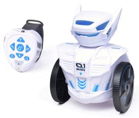 Nutikas RC-robot kella ja žestide juhtimisega hind ja info | Poiste mänguasjad | kaup24.ee