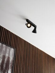 Nordlux потолочный светильник, прожектор Eik 35W, 45770103 цена и информация | Потолочные светильники | kaup24.ee