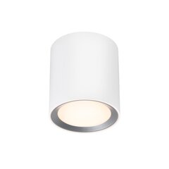 Nordlux потолочный светильник для ванны Landon IP44 2110670101 цена и информация | Потолочные светильники | kaup24.ee