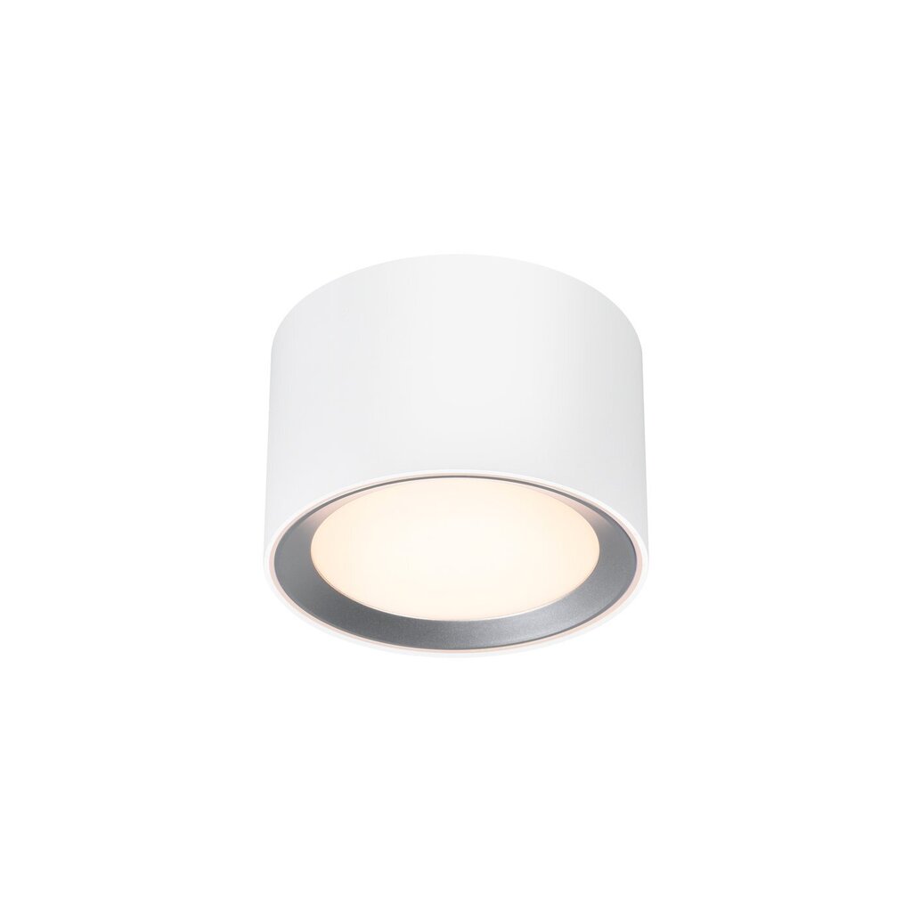 Nordlux vannitoa laelamp Landon IP44 2110660101 цена и информация | Laelambid | kaup24.ee