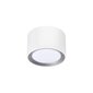 Nordlux vannitoa laelamp Landon IP44 2110660101 цена и информация | Laelambid | kaup24.ee