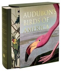 Audubon's Birds of America: Baby Elephant Folio цена и информация | Книги об искусстве | kaup24.ee