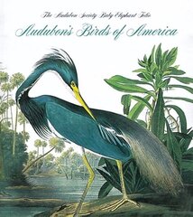 Audubon's Birds of America: The National Audubon Society Baby Elephant Folio illustrated edition цена и информация | Книги об искусстве | kaup24.ee
