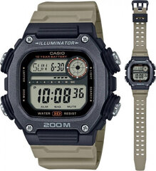 Käekell meestele Casio DW-291HX-5AVDF hind ja info | Meeste käekellad | kaup24.ee