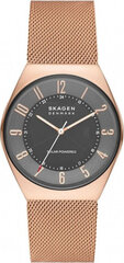 Мужские часы Skagen GRENEN SOLAR POWERED (Ø 37 mm) цена и информация | Мужские часы | kaup24.ee